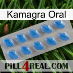 Kamagra Oral 22